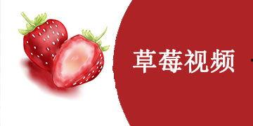国产草莓视频,视频带你领略田园风光与美味果实